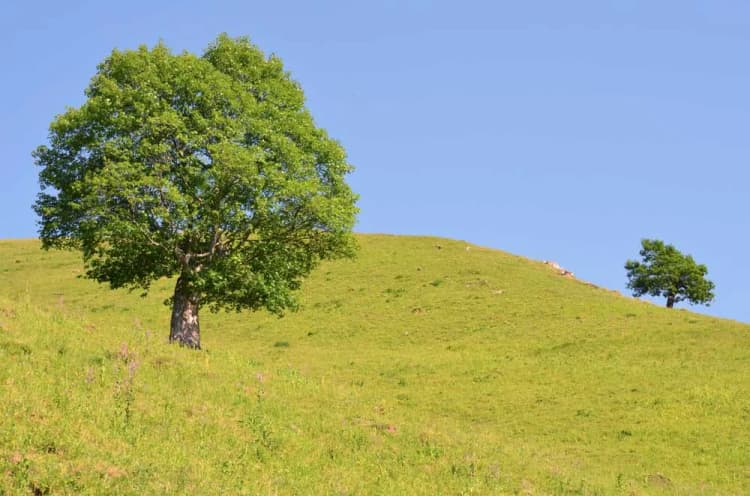 Relaxable and Knowledgeable Tour in Azerbaijan